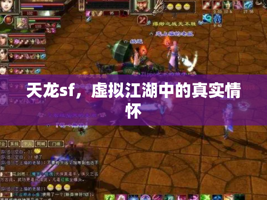 天龙sf，虚拟江湖中的真实情怀