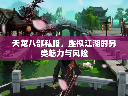 天龙八部私服，虚拟江湖的另类魅力与风险