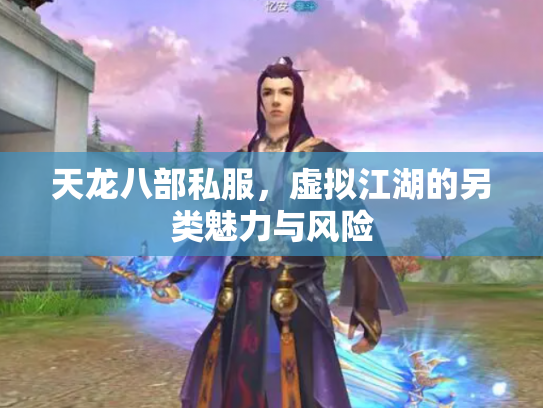 天龙八部私服，虚拟江湖的另类魅力与风险