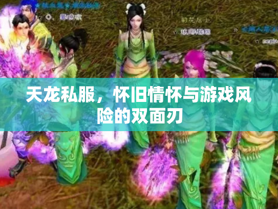 天龙私服，怀旧情怀与游戏风险的双面刃