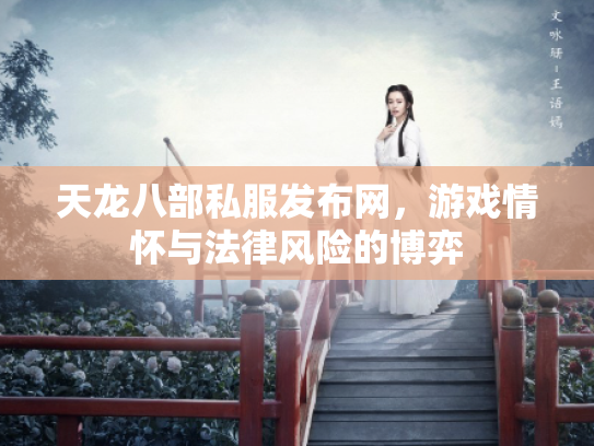 天龙八部私服发布网，游戏情怀与法律风险的博弈