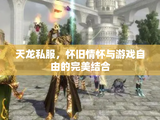天龙私服，怀旧情怀与游戏自由的完美结合