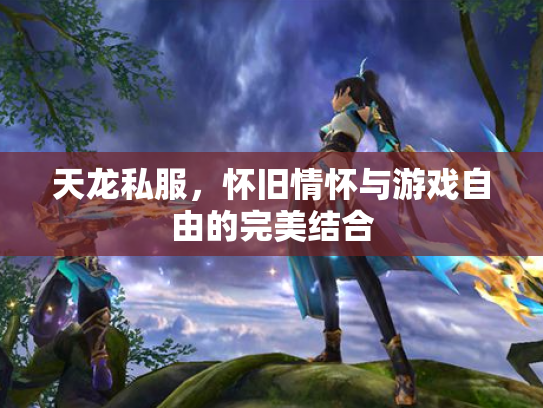天龙私服，怀旧情怀与游戏自由的完美结合
