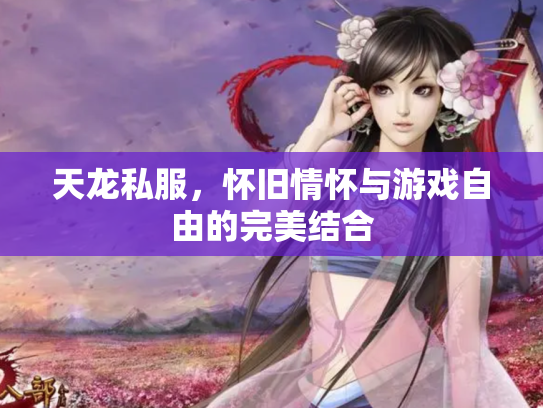 天龙私服，怀旧情怀与游戏自由的完美结合