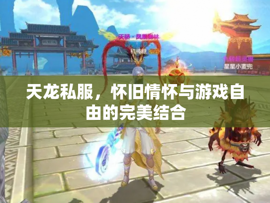 天龙私服，怀旧情怀与游戏自由的完美结合