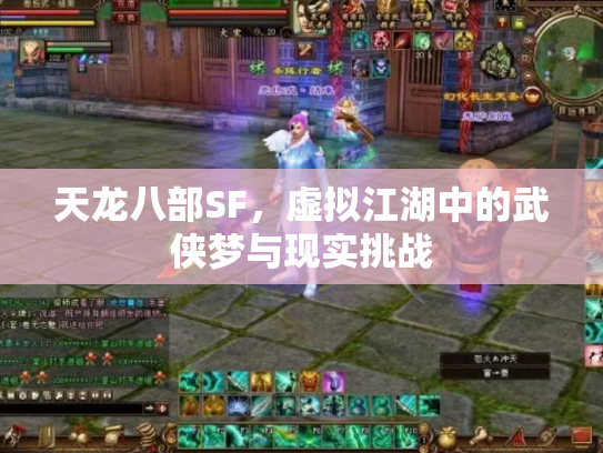 天龙八部SF，虚拟江湖中的武侠梦与现实挑战