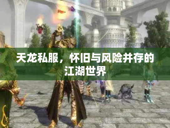天龙私服，怀旧与风险并存的江湖世界