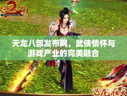 天龙八部发布网，武侠情怀与游戏产业的完美融合