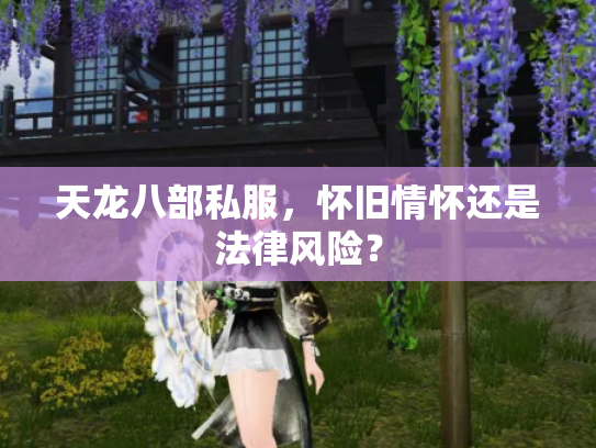 天龙八部私服，怀旧情怀还是法律风险？