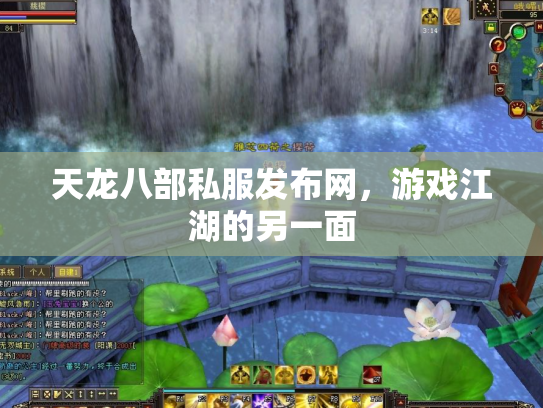 天龙八部私服发布网，游戏江湖的另一面