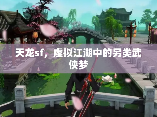 天龙sf，虚拟江湖中的另类武侠梦