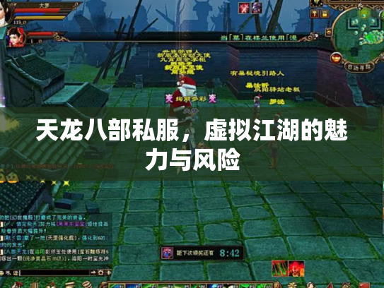 天龙八部私服，虚拟江湖的魅力与风险