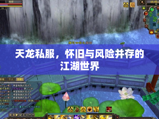 天龙私服，怀旧与风险并存的江湖世界