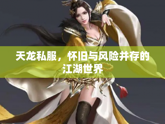 天龙私服，怀旧与风险并存的江湖世界