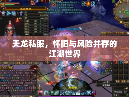 天龙私服，怀旧与风险并存的江湖世界