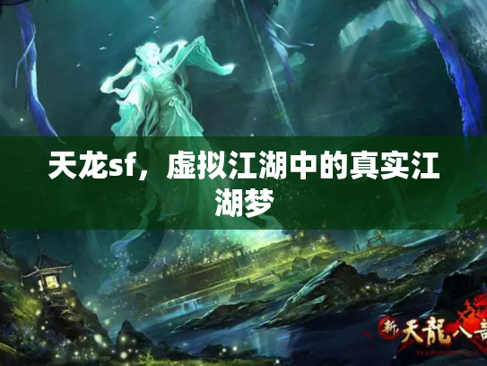 天龙sf，虚拟江湖中的真实江湖梦
