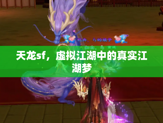 天龙sf，虚拟江湖中的真实江湖梦