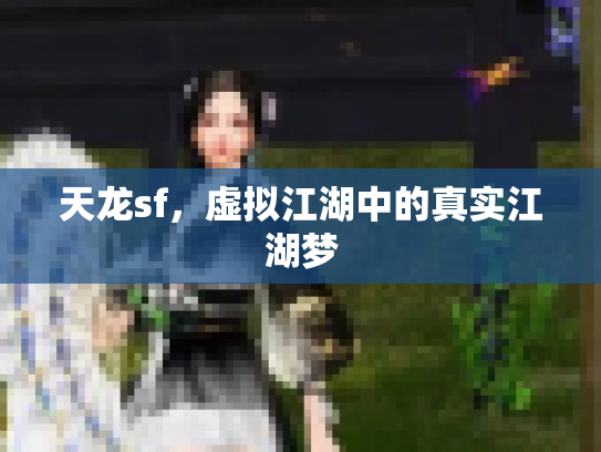 天龙sf，虚拟江湖中的真实江湖梦