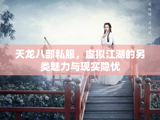 天龙八部私服，虚拟江湖的另类魅力与现实隐忧
