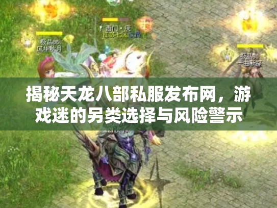 揭秘天龙八部私服发布网，游戏迷的另类选择与风险警示