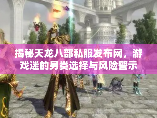 揭秘天龙八部私服发布网，游戏迷的另类选择与风险警示