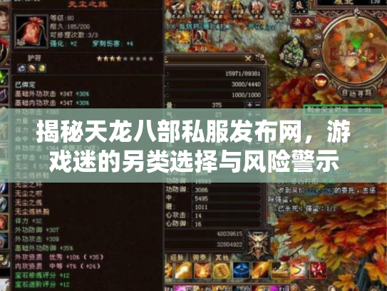 揭秘天龙八部私服发布网，游戏迷的另类选择与风险警示
