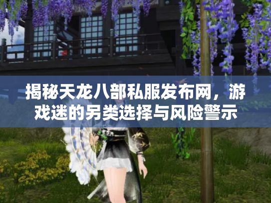 揭秘天龙八部私服发布网，游戏迷的另类选择与风险警示