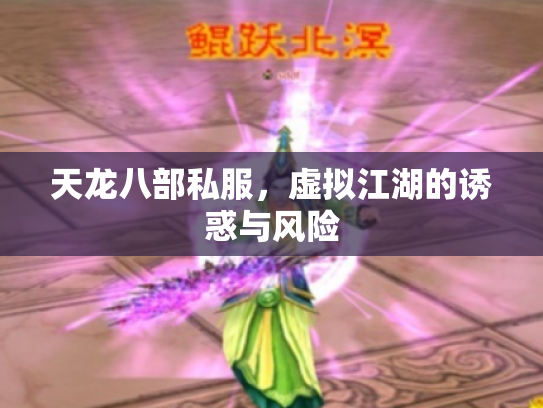 天龙八部私服，虚拟江湖的诱惑与风险