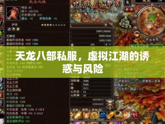 天龙八部私服，虚拟江湖的诱惑与风险