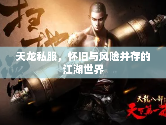 天龙私服，怀旧与风险并存的江湖世界
