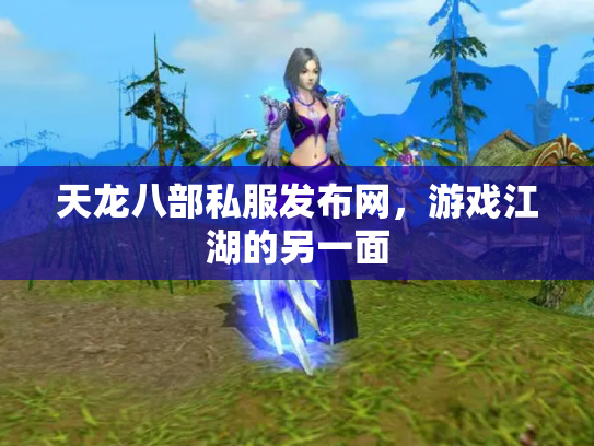 天龙八部私服发布网，游戏江湖的另一面