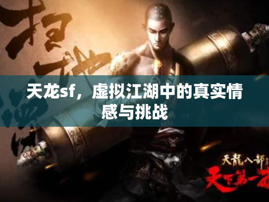 天龙sf，虚拟江湖中的真实情感与挑战