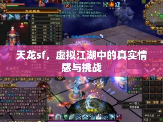 天龙sf，虚拟江湖中的真实情感与挑战