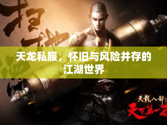 天龙私服，怀旧与风险并存的江湖世界