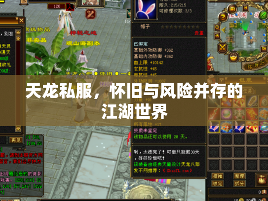 天龙私服，怀旧与风险并存的江湖世界