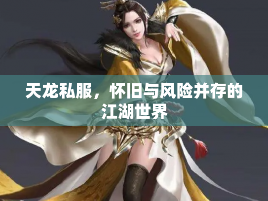 天龙私服，怀旧与风险并存的江湖世界