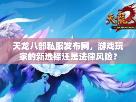 天龙八部私服发布网，游戏玩家的新选择还是法律风险？