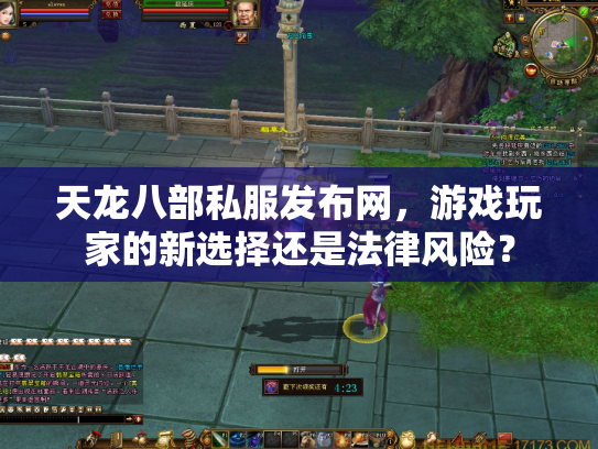 天龙八部私服发布网，游戏玩家的新选择还是法律风险？