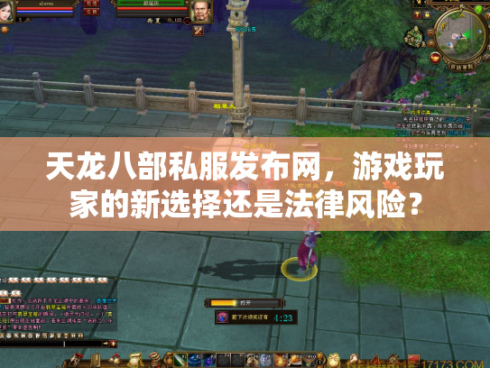 天龙八部私服发布网，游戏玩家的新选择还是法律风险？