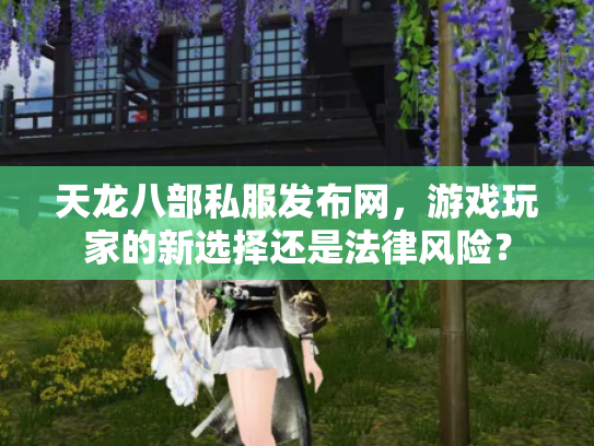 天龙八部私服发布网，游戏玩家的新选择还是法律风险？