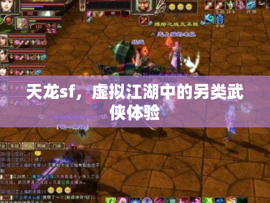 天龙sf，虚拟江湖中的另类武侠体验
