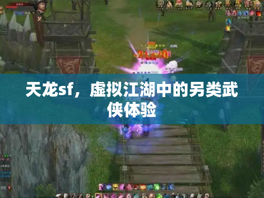 天龙sf，虚拟江湖中的另类武侠体验