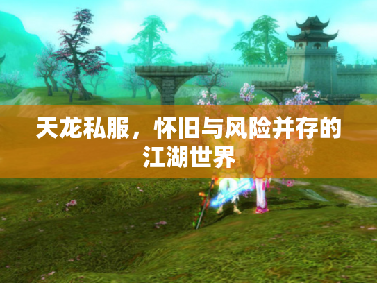 天龙私服，怀旧与风险并存的江湖世界