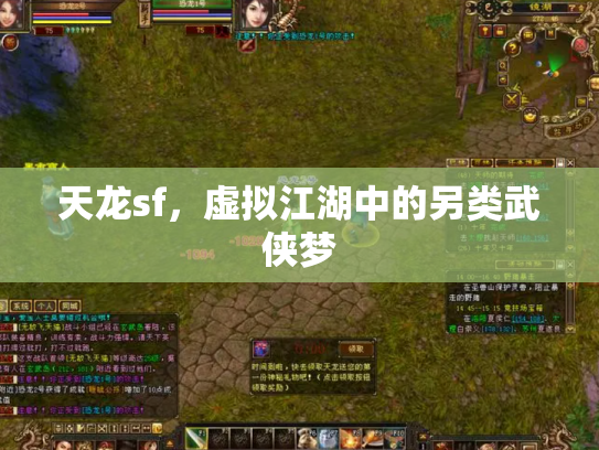 天龙sf，虚拟江湖中的另类武侠梦