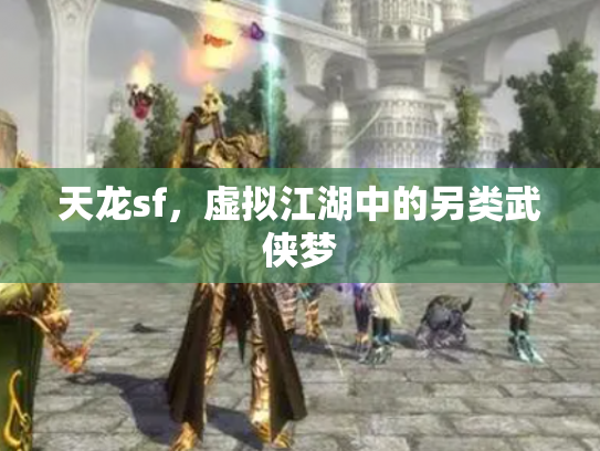 天龙sf，虚拟江湖中的另类武侠梦
