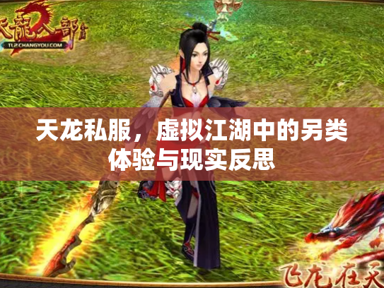 天龙私服，虚拟江湖中的另类体验与现实反思