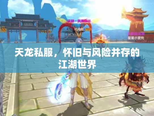 天龙私服，怀旧与风险并存的江湖世界
