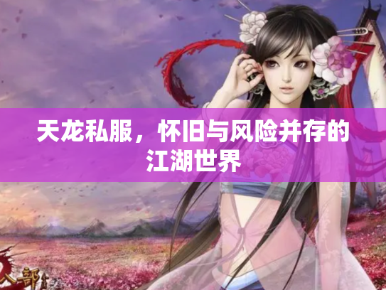 天龙私服，怀旧与风险并存的江湖世界