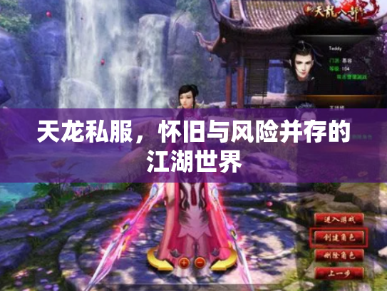 天龙私服，怀旧与风险并存的江湖世界