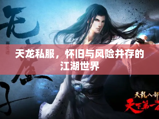 天龙私服，怀旧与风险并存的江湖世界